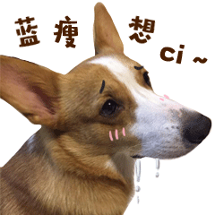 头条表情怎么导入到微信6