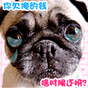 含有雨好的斗图表情包8