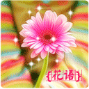 蘑菇头搞笑微信斗图表情包下载3