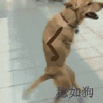 恶搞龙王表情包娘化2