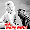 纯文字表情包不是3