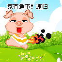 紫兰仙子动态表情包4