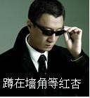 皮的的表情大全12