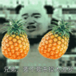 网上很火的动态表情包10