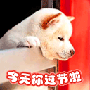 人在生气时的面部表情11