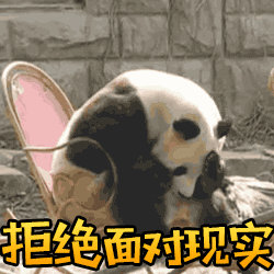 熊猫搞笑图片表情包6