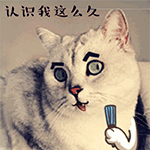 爱情公寓五诸葛大力表情包5
