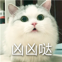 开玩笑别生气的表情包9