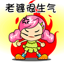 描述美景的搞笑表情12
