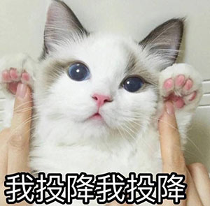 hi图片可爱表情包11