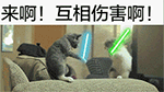 全网最火表情包动图11