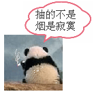 超萌可爱gif表情包2