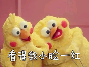 qq表情算命3