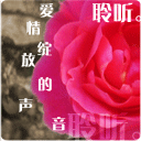 放这里沙雕表情包4