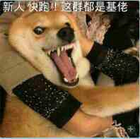 灌阳话属于什么方言8