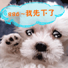 精选10组幸福的表情图片6