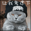 表情包沙雕动态搞笑7