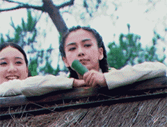 丫头 可爱5