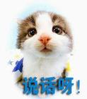 爱情公寓曾小贤囧表情2