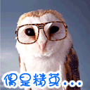 芬恩表情包6