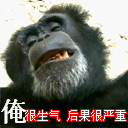 最近很火的鸭子表情包的鸭叫什么7