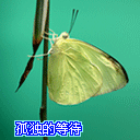 惊悚恐怖表情包11