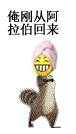 含有爱舞包的聊天表情包图片3