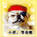 愤怒滑稽表情包哪里有13
