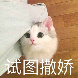 顽皮的表情怎么画2
