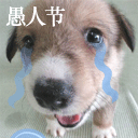 晚霞的表情大全4