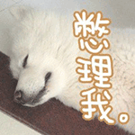 暴走表情大全app1