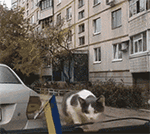 猥琐的表情20238