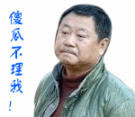 猫喝酒表情包2