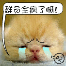 渐渐表情包8