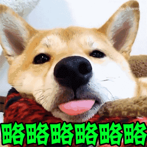 高考祝福表情包沙雕3
