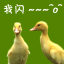 微信表情 真人 动态14