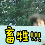 动漫表情包二次元微笑10
