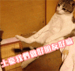 吴彦祖暴走表情3
