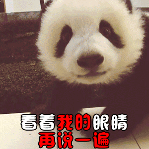 动漫恶搞表情头像9