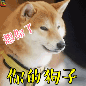 salute微信表情12