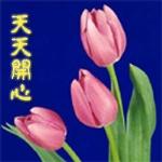 表情简短的问候语句1
