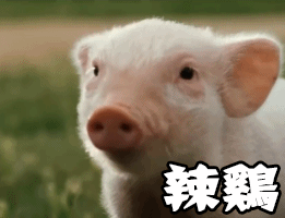 红包图片啊10