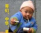 最可爱的羊驼表情包10