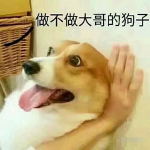 震惊表情包高清动态6