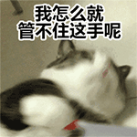 站住qq表情8