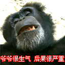 蔡徐坤沙雕素材15