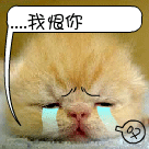 比喻这样的动漫表情4