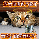 lol状态表情7