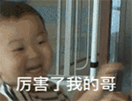 瓜子脸qq表情12