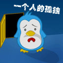 拍照的表情包11